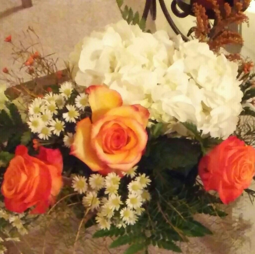 Meet your Posher, Debbie